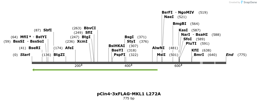 25620_map