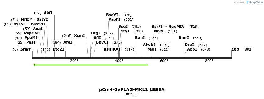 25621_map