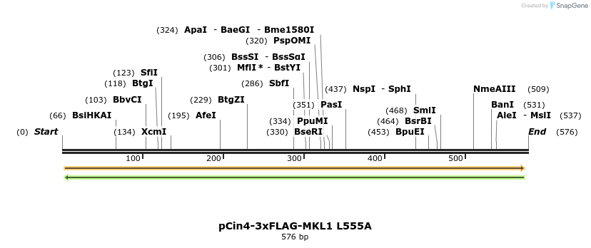 25622_map