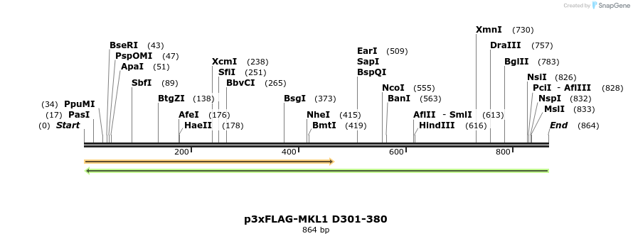 25623_map