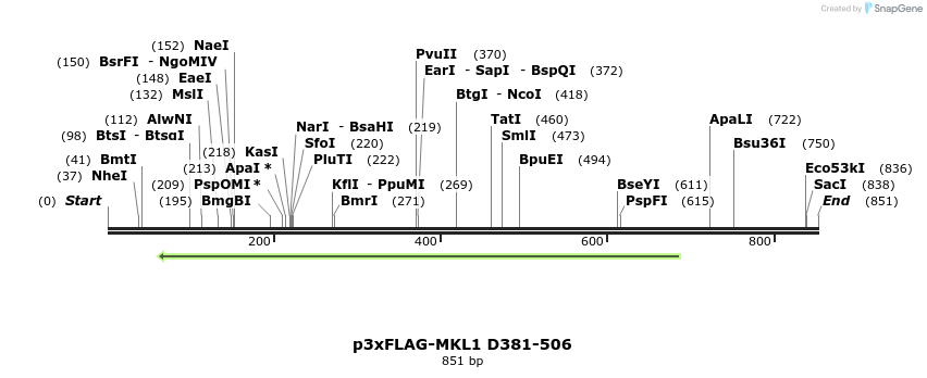 25624_map