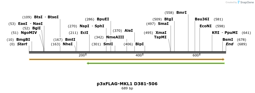 25625_map