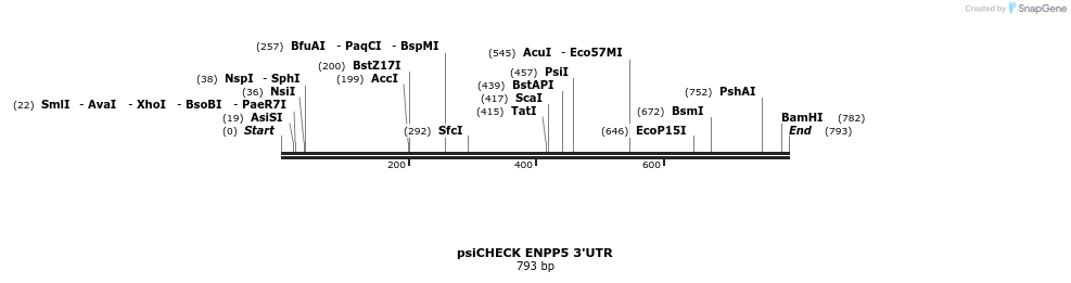 25635_map