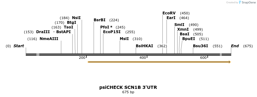 25636_map