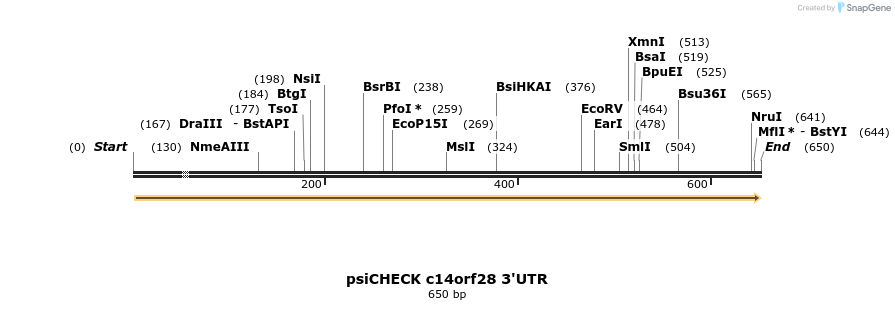 25638_map