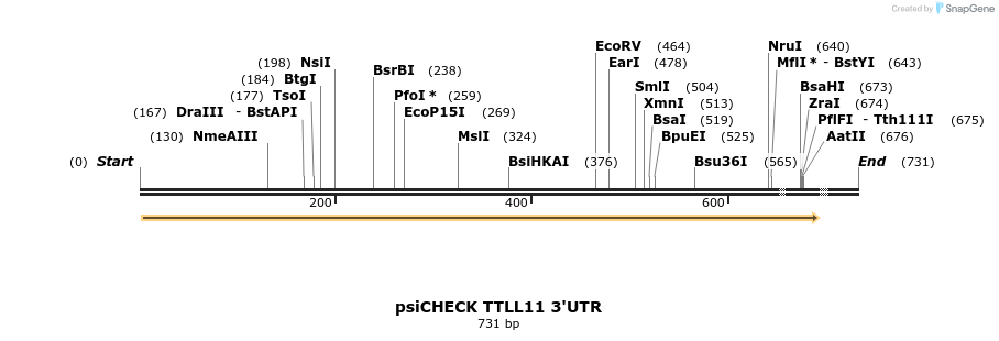 25640_map