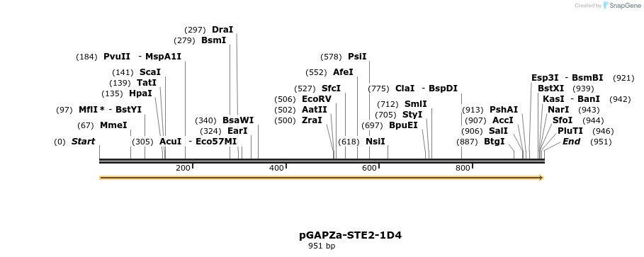 256400_map