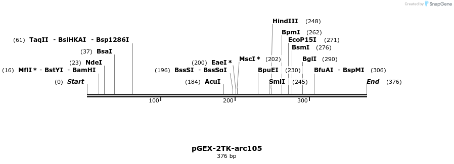 256405_map