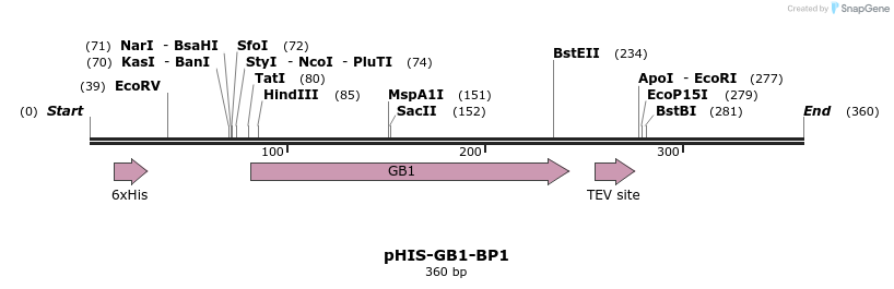 256408_map