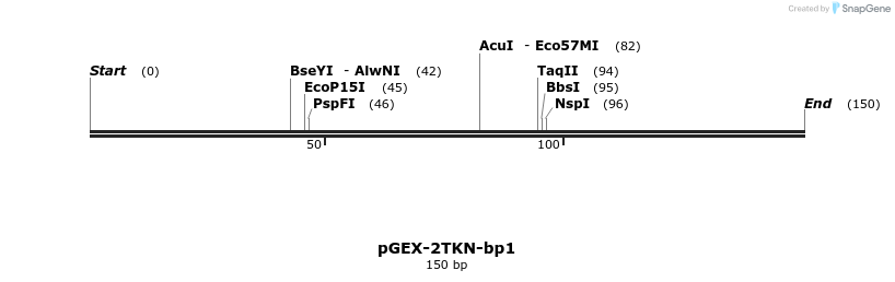 256409_map
