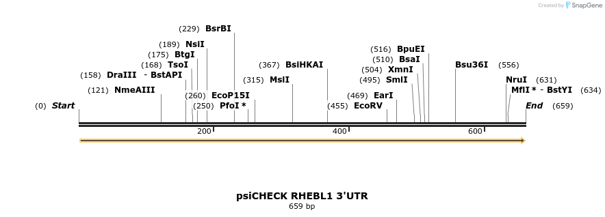 25642_map