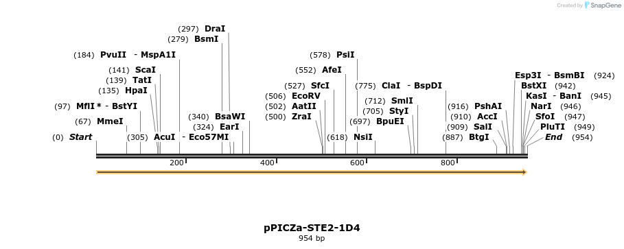 256424_map