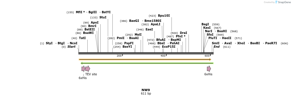 256430_map