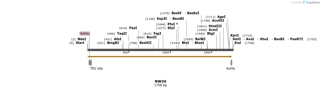 256432_map