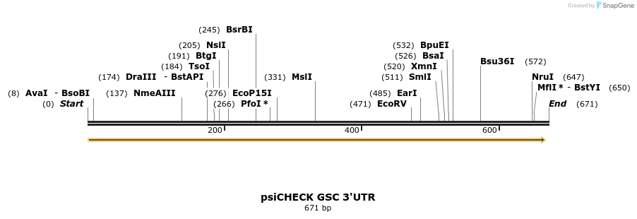 25644_map