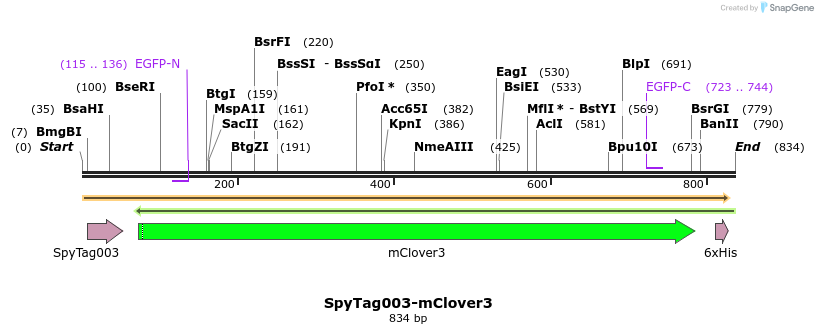 256446_map