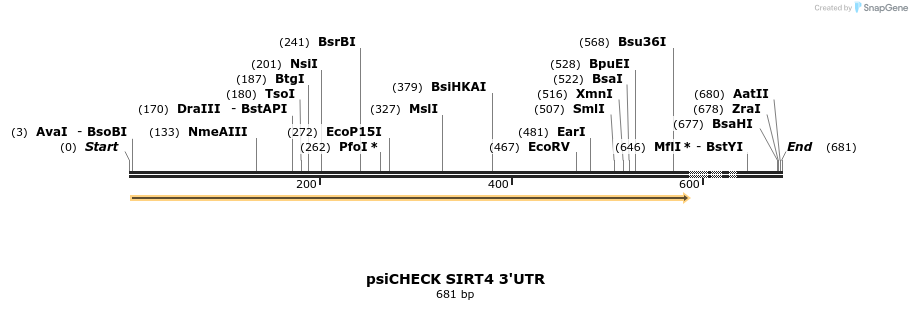 25646_map