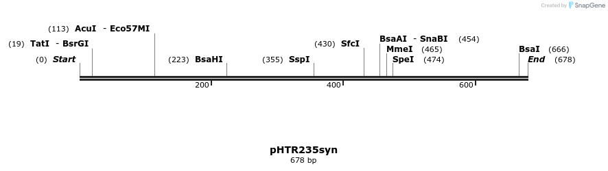 256460_map