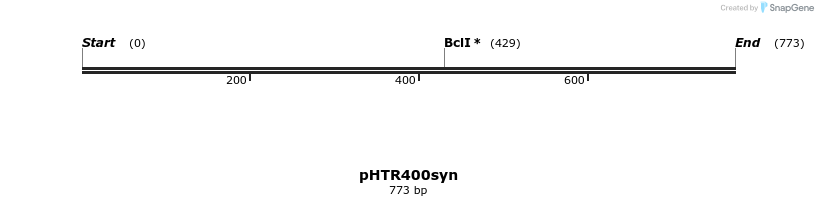256461_map