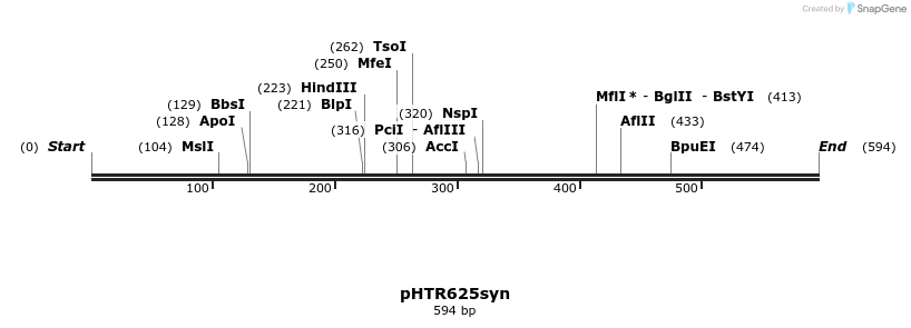 256462_map