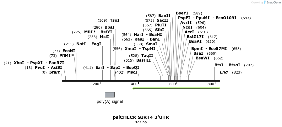 25647_map