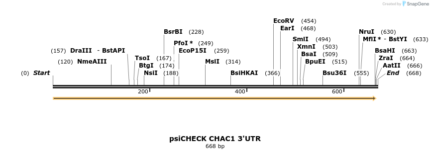 25648_map