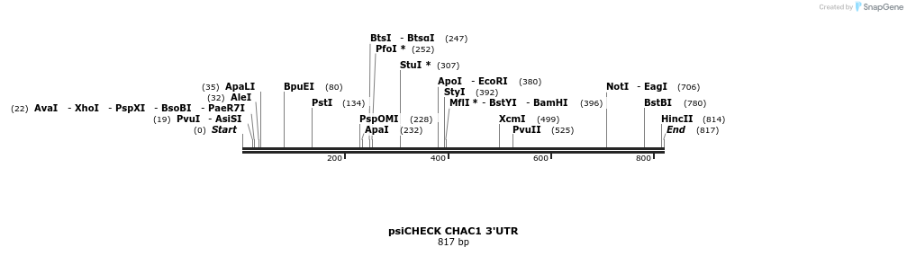 25649_map
