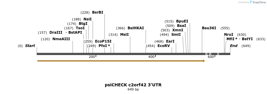 25650_map