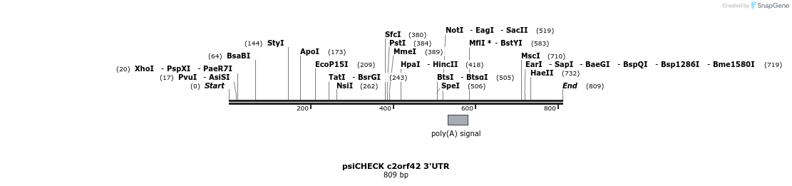 25651_map