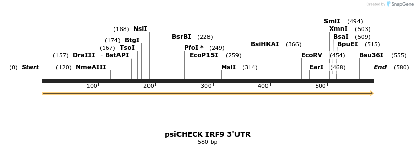 25652_map