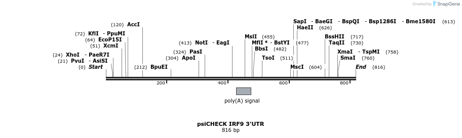 25653_map
