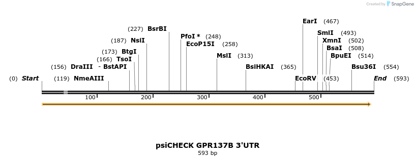 25654_map