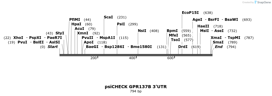 25655_map