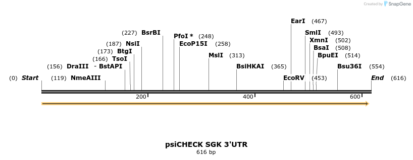 25656_map