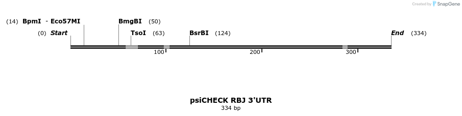 25658_map