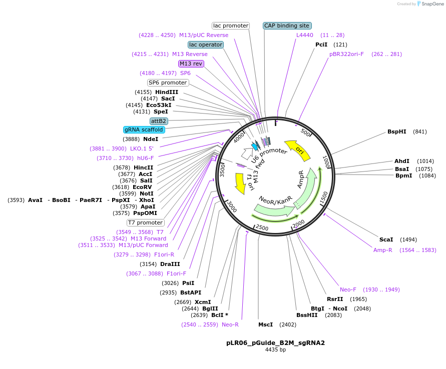 256596_map