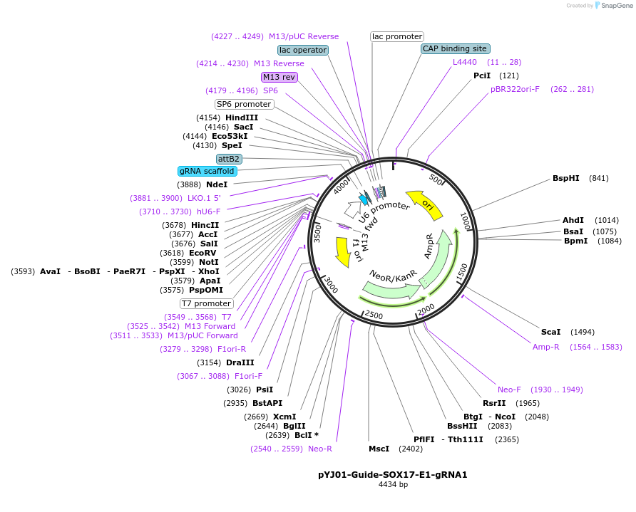 256602_map