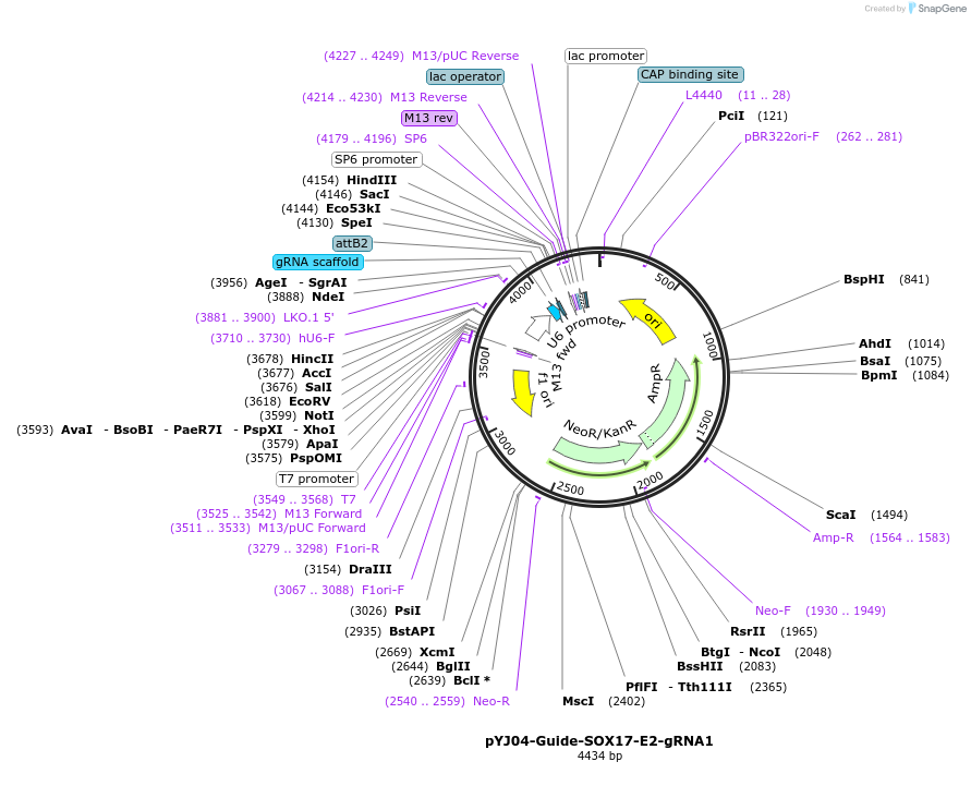 256603_map