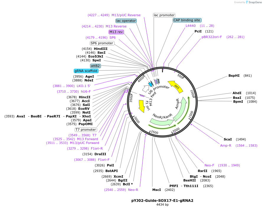 256604_map