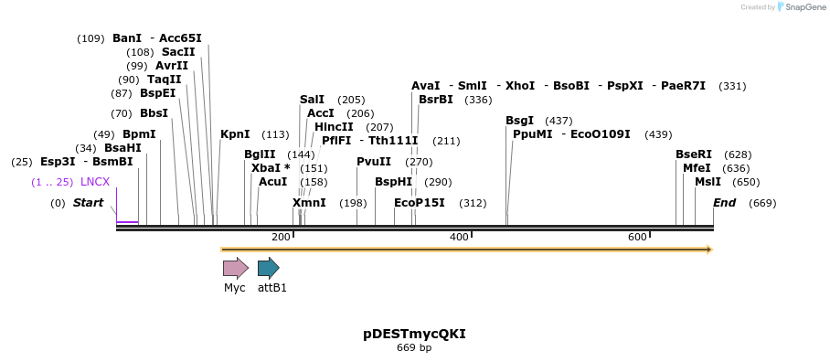 25663_map