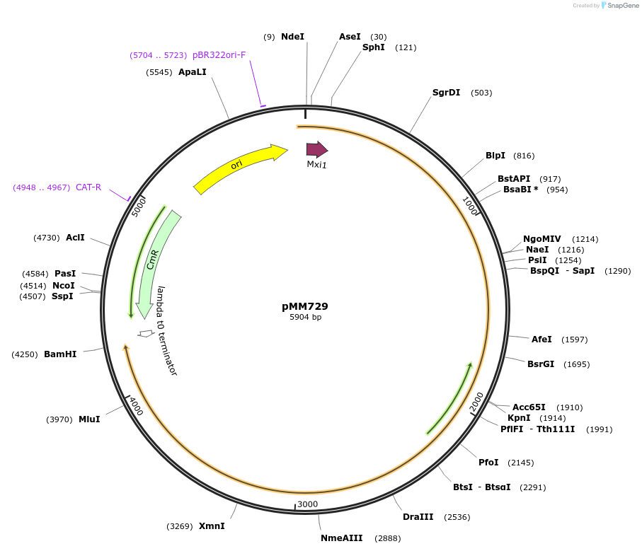 256687_map