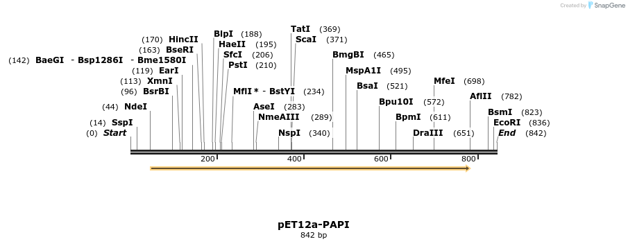 25687_map