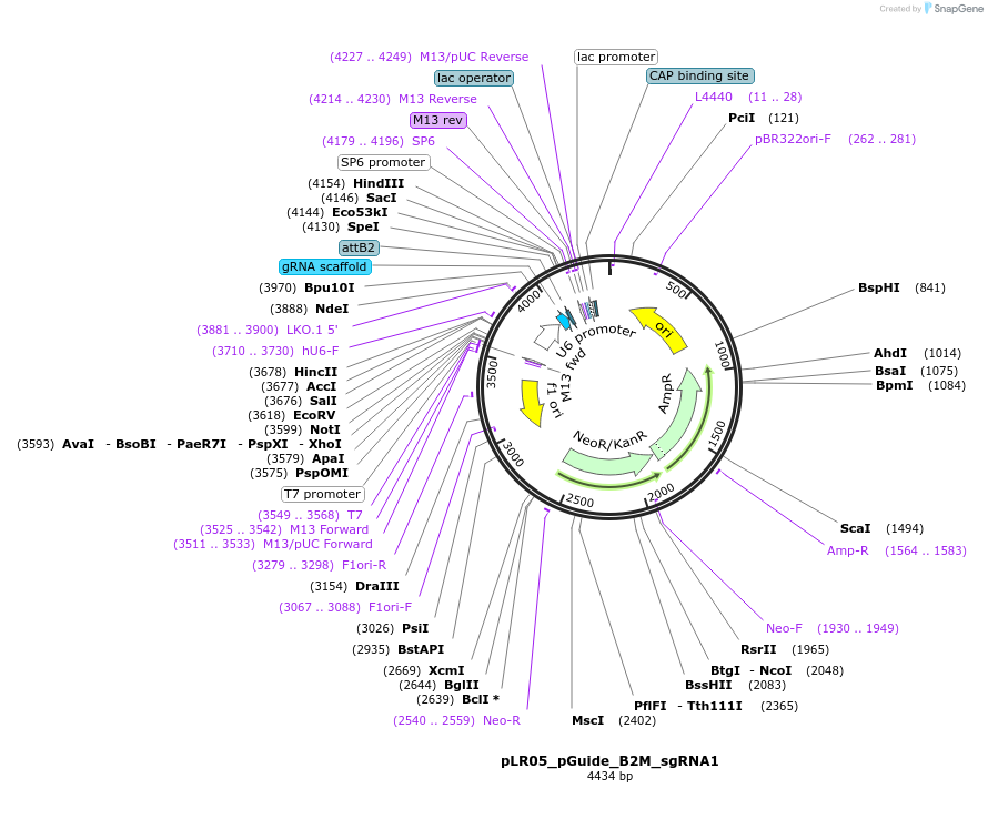 256909_map