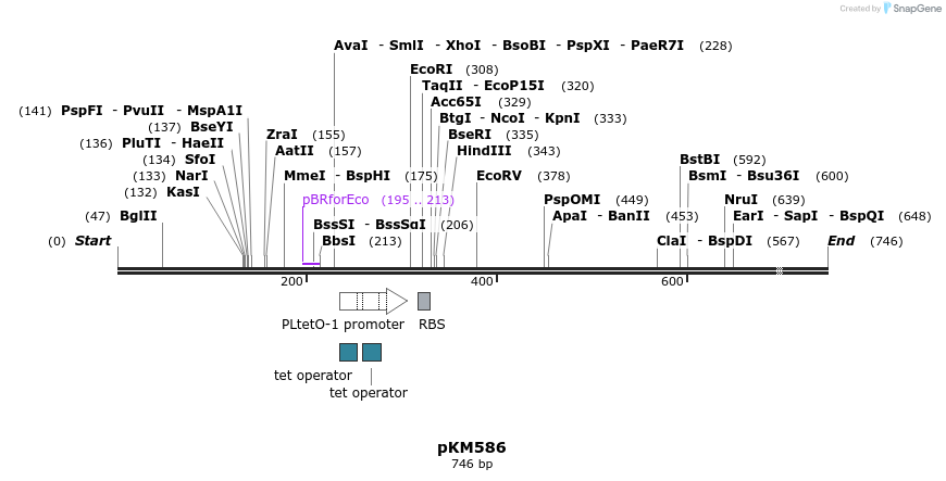 25699_map