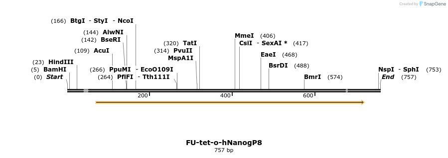 25704_map