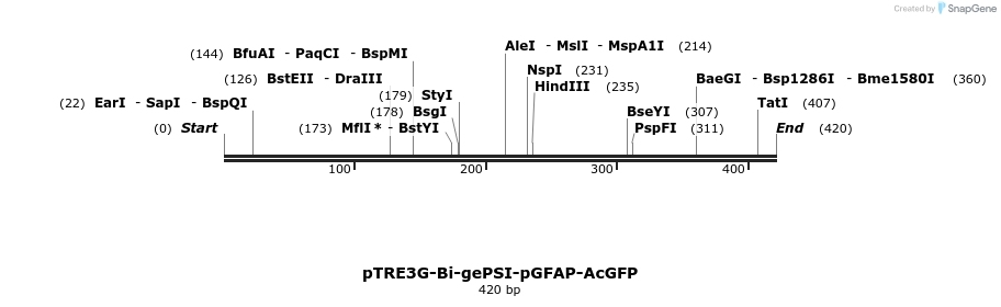 257052_map