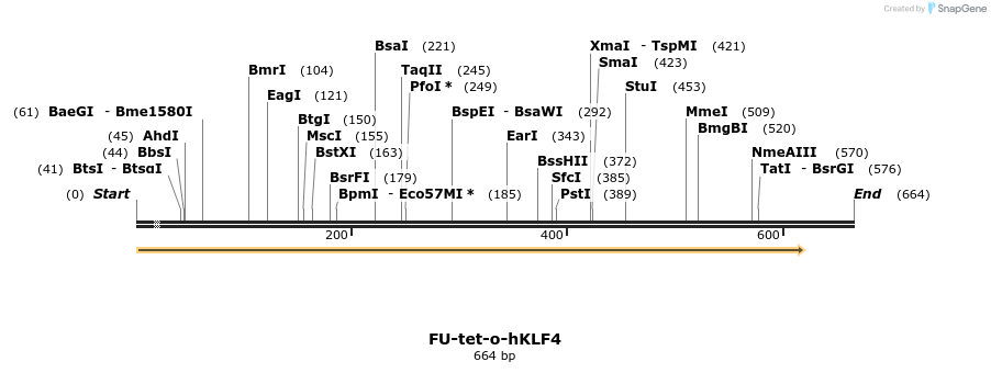 25706_map