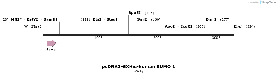 257071_map