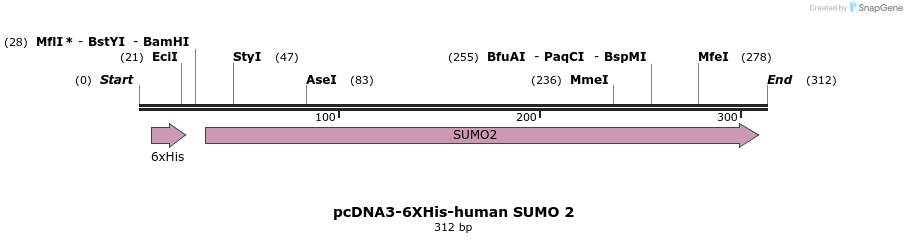 257072_map