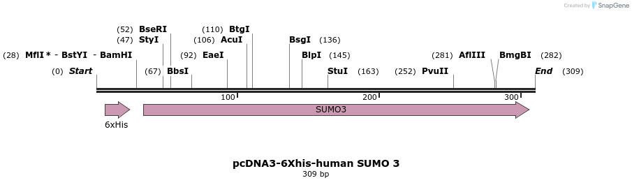 257073_map